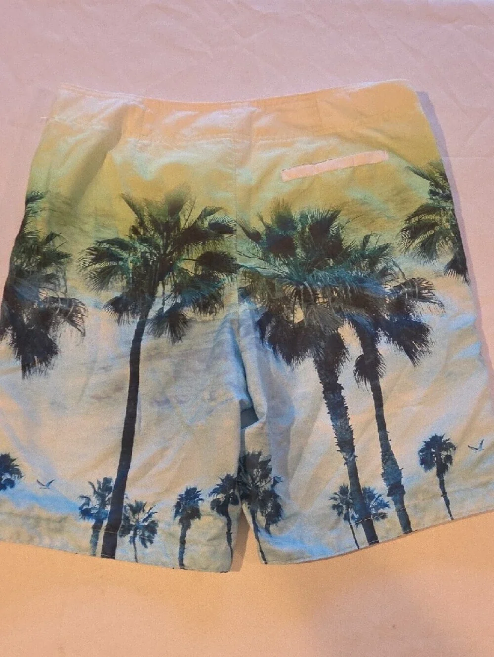 Hollister Teal & Navy Palm-Print Swim Board Shorts